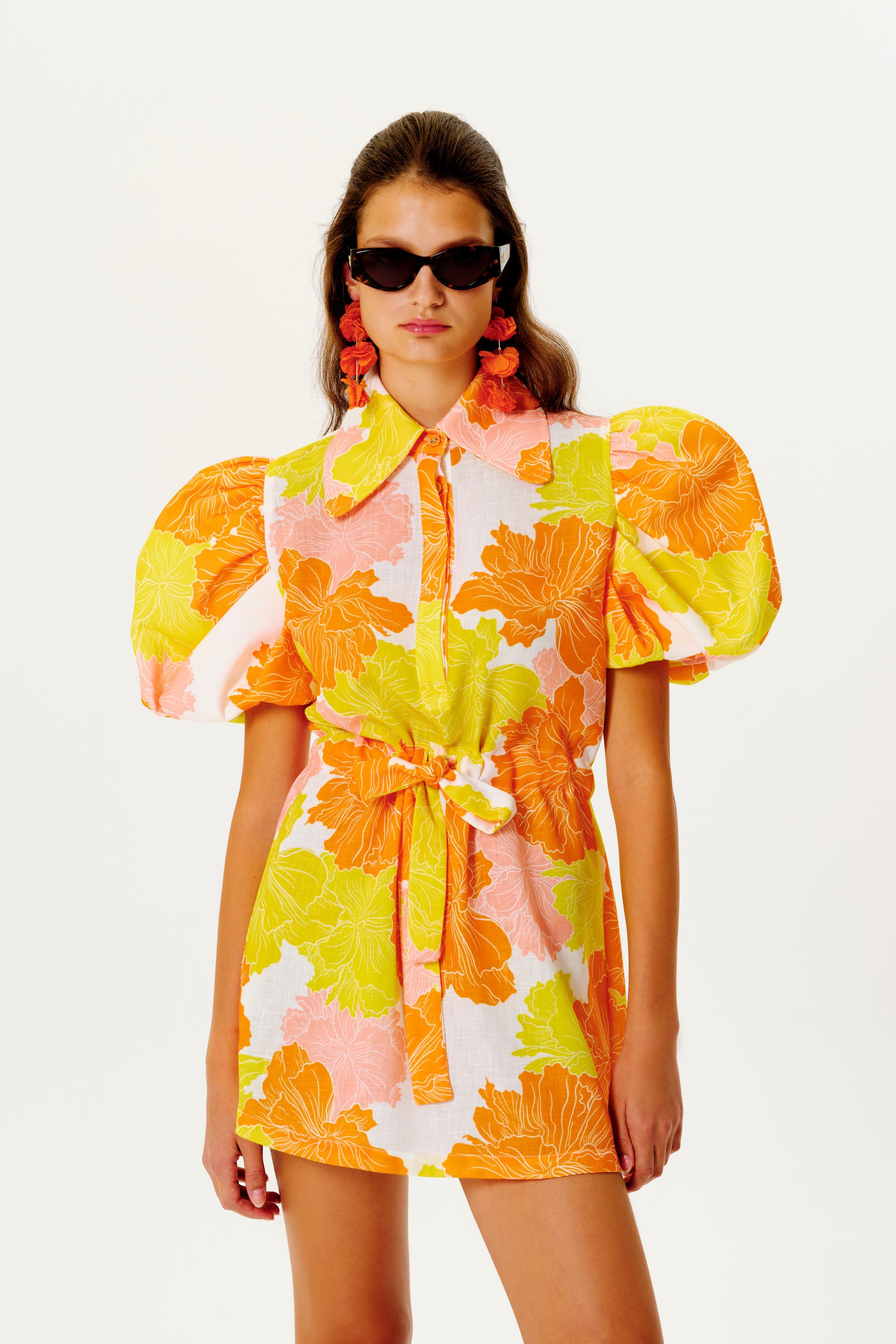 Franca Puff Sleeved Dress